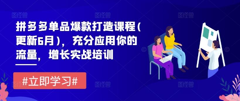 拼多多单品爆款打造课程(更新6月)，充分应用你的流量，增长实战培训-网创资源