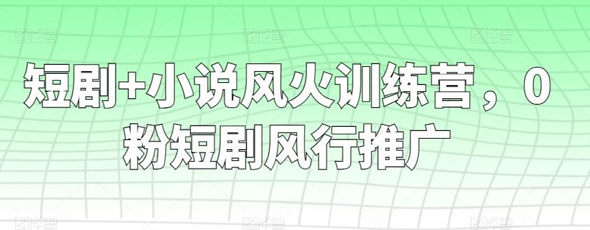短剧+小说风火训练营，0粉短剧风行推广-网创资源