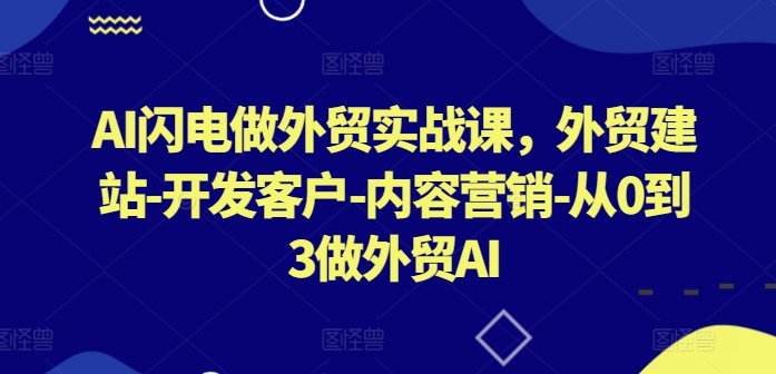 AI闪电做外贸实战课，​外贸建站-开发客户-内容营销-从0到3做外贸AI(更新)-网创资源