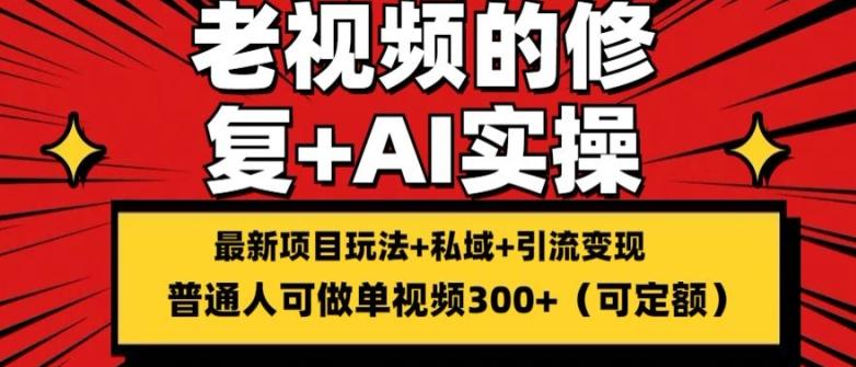 修复老视频的玩法，搬砖+引流的变现(可持久)，单条收益300+【揭秘】-网创资源