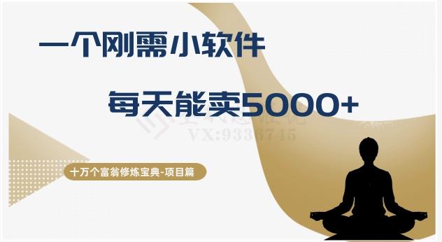 十万个富翁修炼宝典之17.一个刚需小软件，每天能卖5000+-网创资源