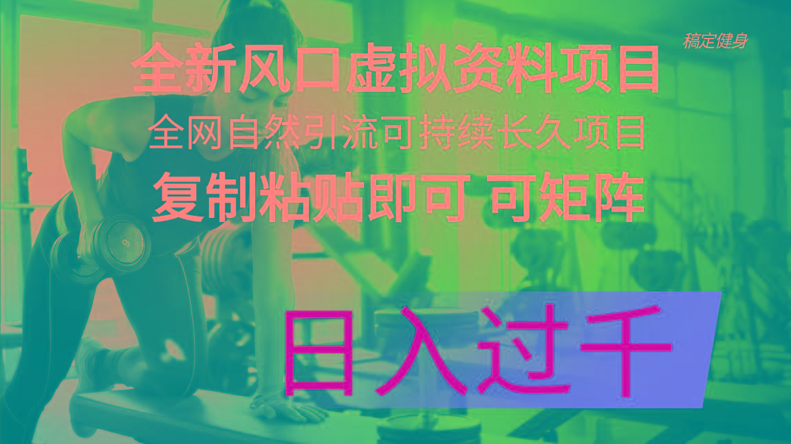 全新风口虚拟资料项目 全网自然引流可持续长久项目 复制粘贴即可可矩阵…-网创资源