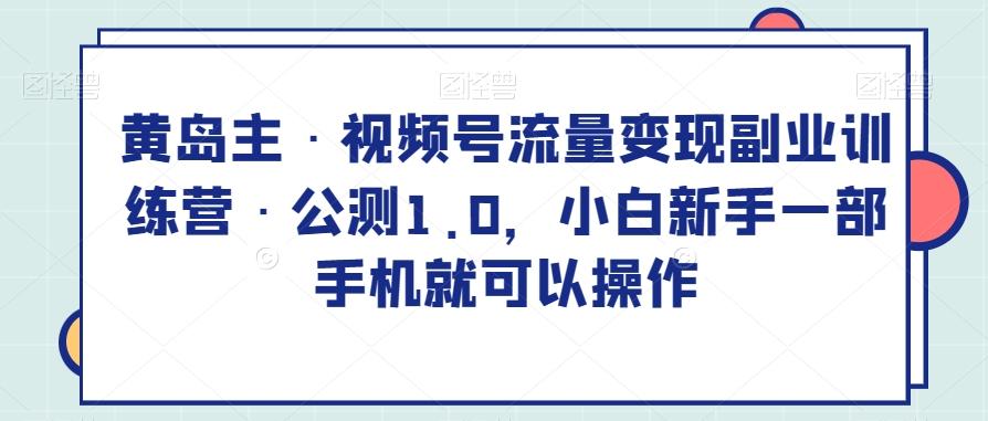 黄岛主·视频号流量变现副业训练营·公测1.0，小白新手一部手机就可以操作-网创资源