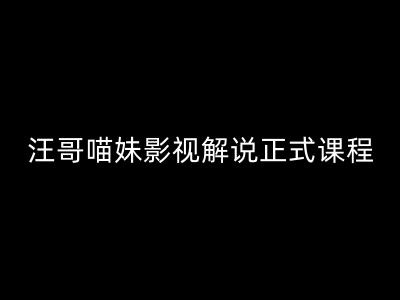 汪哥影视解说正式课程：剪映/PR教学/视解说剪辑5大黄金法则/全流程剪辑7把利器等等-网创资源