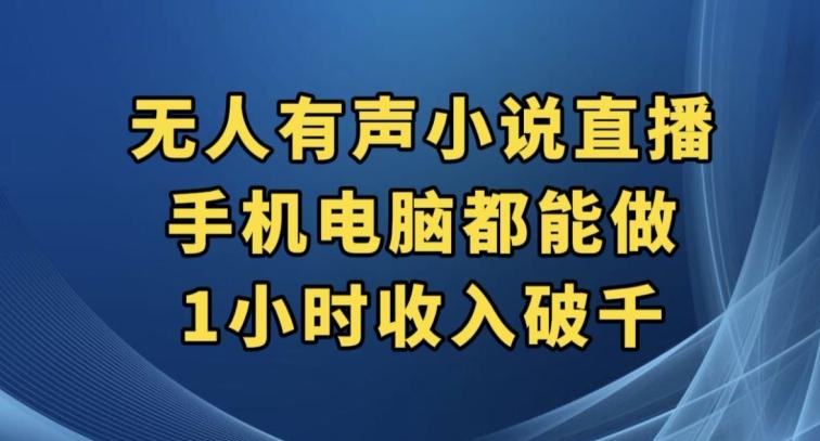 抖音无人有声小说直播，手机电脑都能做，1小时收入破千【揭秘】-网创资源