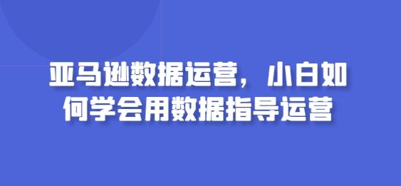 亚马逊数据运营，小白如何学会用数据指导运营-网创资源