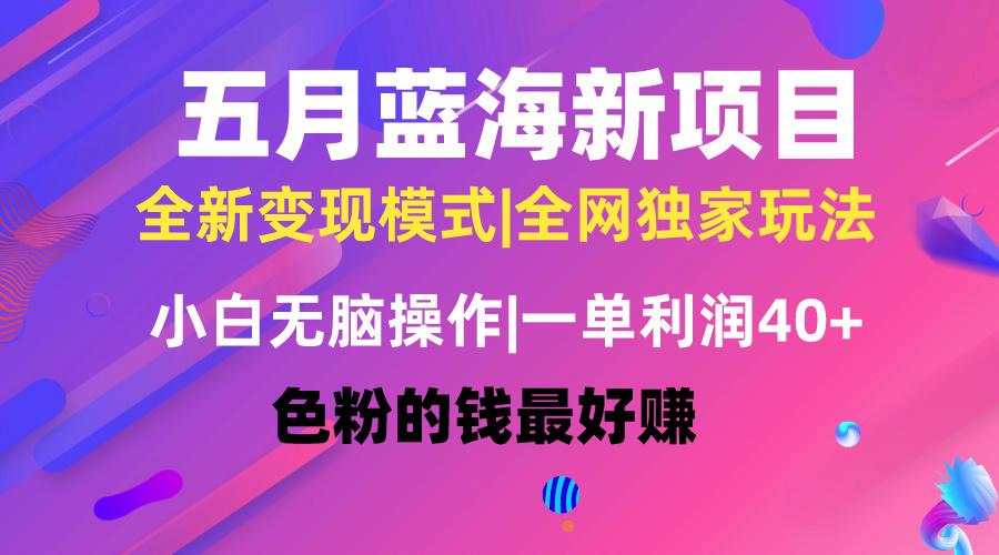 五月蓝海项目全新玩法，小白无脑操作，一天几分钟，矩阵操作，月入4万+-网创资源