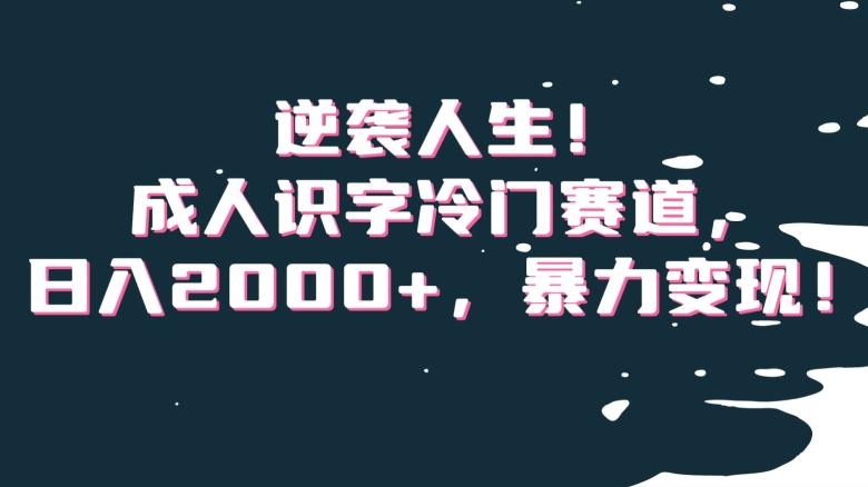 逆袭人生！成人识字冷门赛道，日入2000+，暴力变现！【揭秘】-网创资源