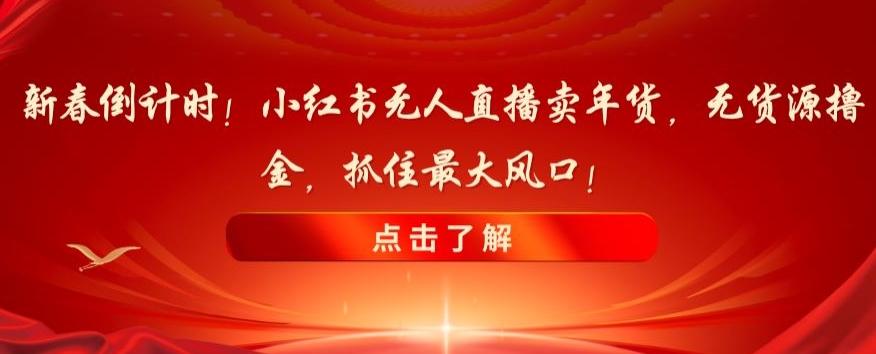 新春倒计时！小红书无人直播卖年货，无货源撸金，抓住最大风口【揭秘】-网创资源