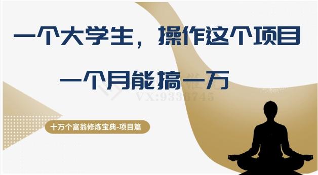 十万个富翁修炼宝典之4.一个大学生操作这个项目，一个月能搞一万-网创资源