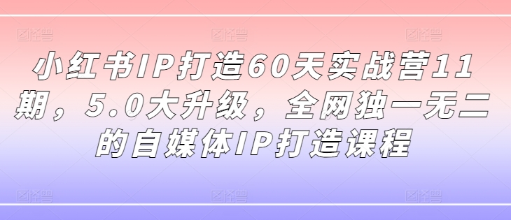小红书IP打造60天实战营11期，5.0大升级，全网独一无二的自媒体IP打造课程-网创资源