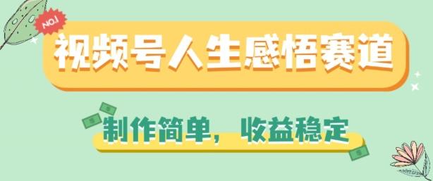 视频号人生感悟赛道，制作简单，收益稳定【揭秘】-网创资源