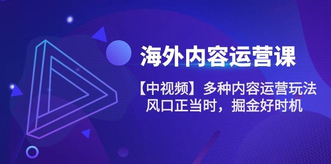 海外内容 运营课【中视频】多种内容运营玩法 风口正当时 掘金好时机-101节-网创资源