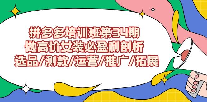 (9333期)拼多多培训班第34期：做高价女装必盈利剖析  选品/测款/运营/推广/拓展-网创资源