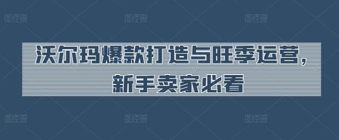 沃尔玛爆款打造与旺季运营，新手卖家必看-网创资源