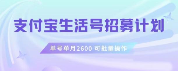 支付宝生活号作者招募计划，单号单月2600，可批量去做，工作室一人一个月轻松1w+【揭秘】-网创资源