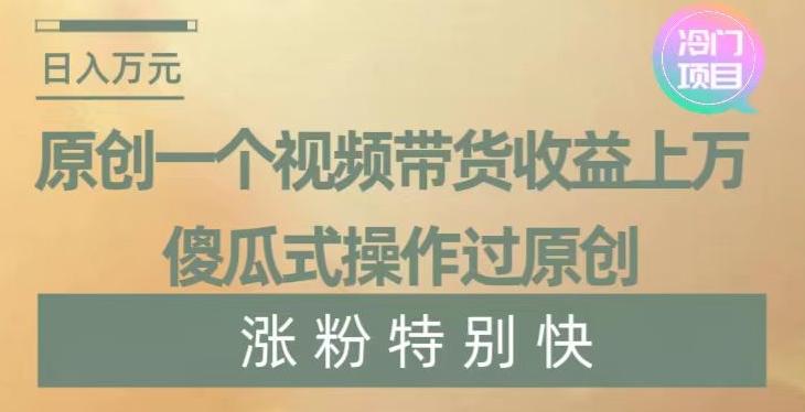 原创一个视频带货收益上万，傻瓜式操作过原创，几分钟做一个视频涨粉特别快【揭秘】-网创资源