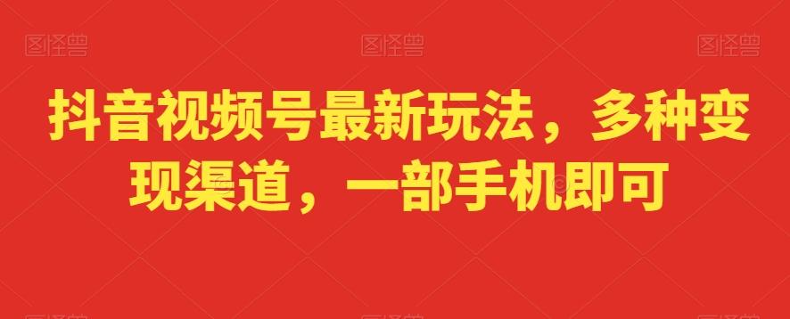 抖音视频号最新玩法，多种变现渠道，一部手机即可-网创资源