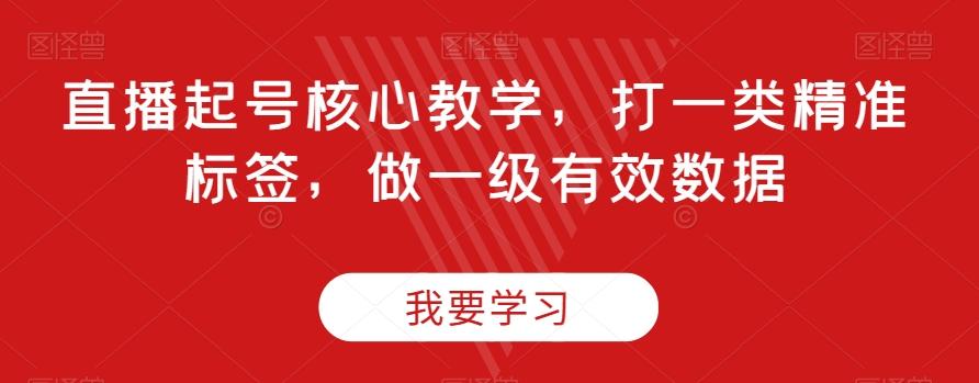 直播起号核心教学，打一类精准标签，做一级有效数据-网创资源