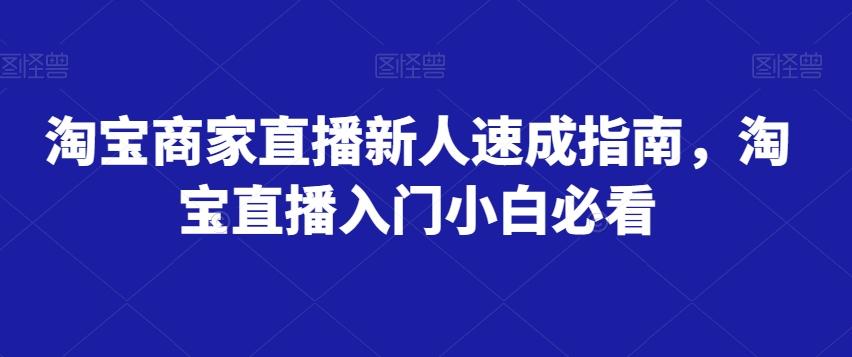 淘宝商家直播新人速成指南，淘宝直播入门小白必看-网创资源