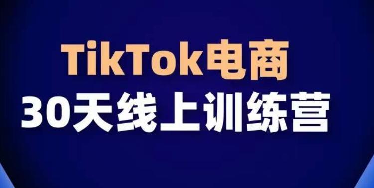 TikTok电商带货30天线上课，不可错过的全球流量洼地！-网创资源