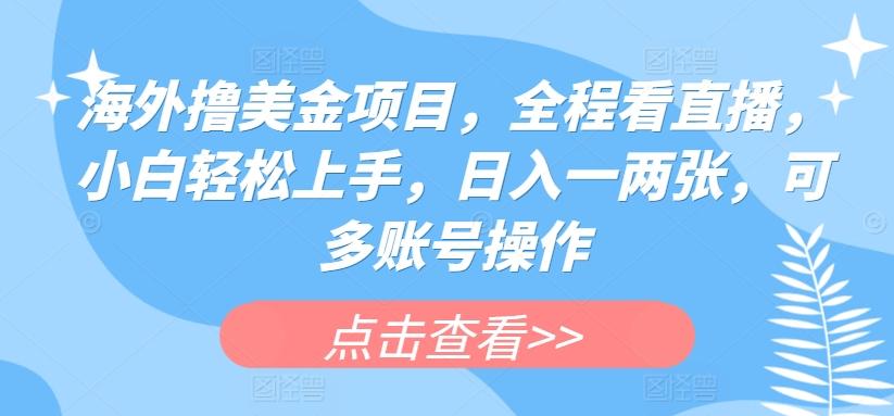 海外撸美金项目，全程看直播，小白轻松上手，日入一两张，可多账号操作【揭秘】-网创资源