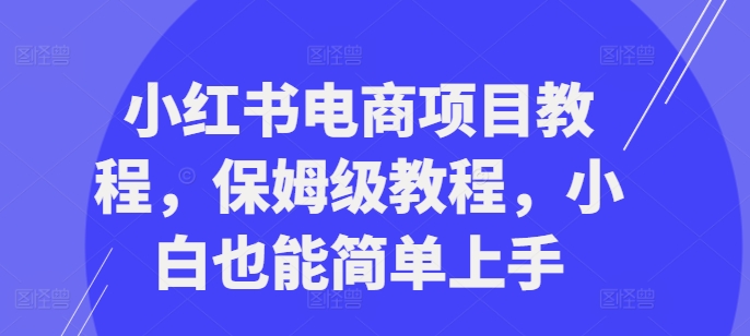 小红书电商项目教程，保姆级教程，小白也能简单上手-网创资源