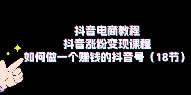 抖音电商教程：抖音涨粉变现课程：如何做一个赚钱的抖音号(18节-网创资源