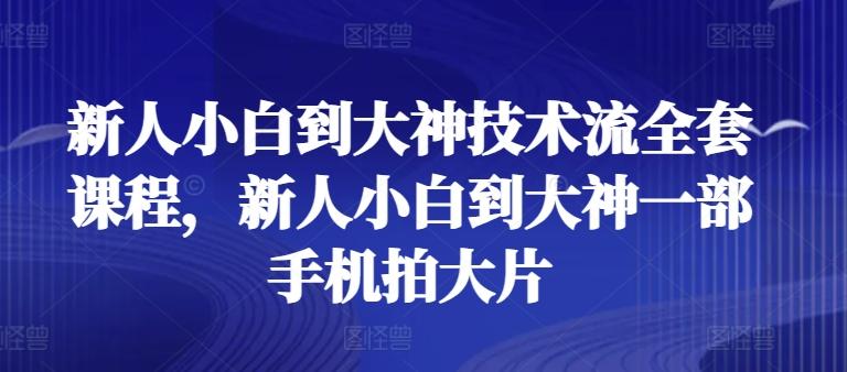 新人小白到大神技术流全套课程，新人小白到大神一部手机拍大片-网创资源