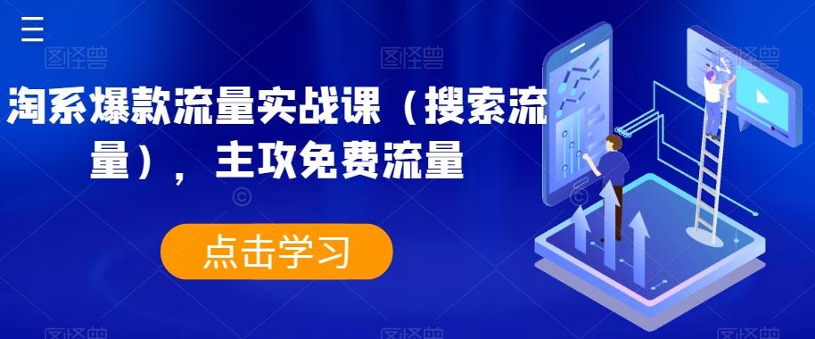 淘系爆款流量实战课（搜索流量），主攻免费流量-网创资源