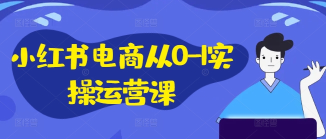 小红书电商从0-1实操运营课，小红书手机实操小红书/IP和私域课/小红书电商电脑实操板块等-网创资源