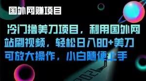 冷门撸美刀项目，利用国外网站刷视频，轻松日入80+美刀，可放大操作，小白随便上手-网创资源
