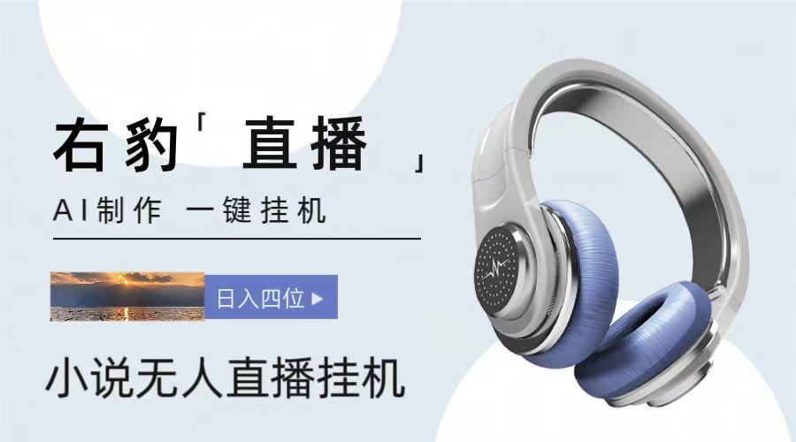 右豹小说无人直播挂机吸金项目，简单易行收益稳定， 月入1000+-网创资源