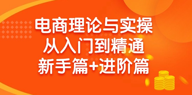 (9576期)电商理论与实操从入门到精通 新手篇+进阶篇-网创资源