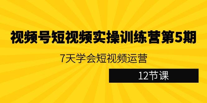 视频号短视频实操训练营第5期：7天学会短视频运营(12节课)-网创资源