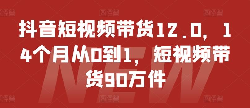 抖音短视频带货12.0，14个月从0到1，短视频带货90万件-网创资源