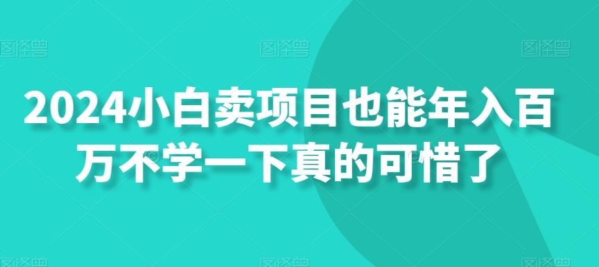 2024小白卖项目也能年入百万不学一下真的可惜了-网创资源