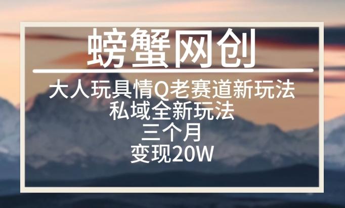 大人玩具情Q用品赛道私域全新玩法，三个月变现20W，老项目新思路【揭秘】-网创资源