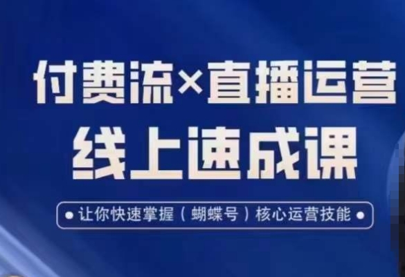 视频号付费流实操课程，付费流✖️直播运营速成课，让你快速掌握视频号核心运营技能-网创资源