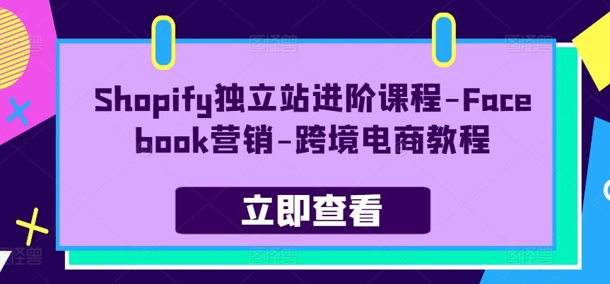 Shopify独立站进阶课程-Facebook营销-跨境电商教程-网创资源
