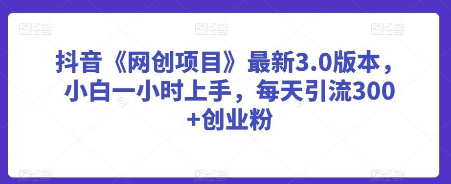 抖音《网创项目》最新3.0版本，小白一小时上手，每天引流300+创业粉【揭秘】-网创资源