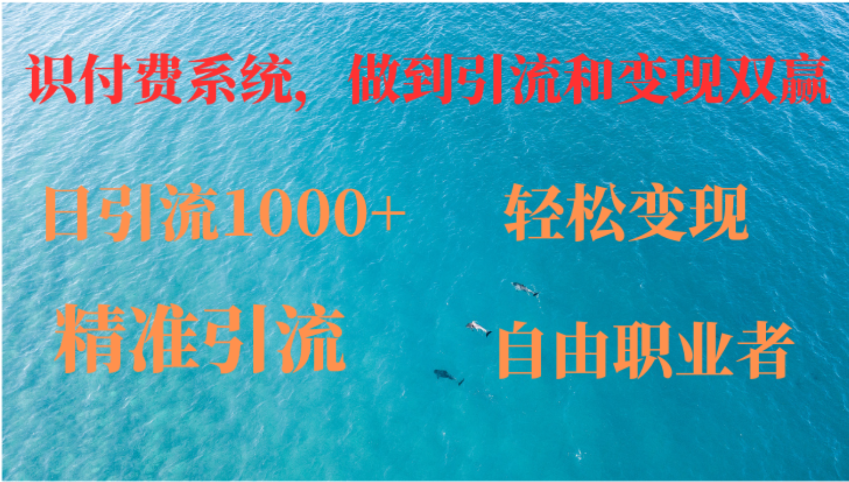 如何搭建自己的知识付费系统，做到引流和变现双赢-网创资源