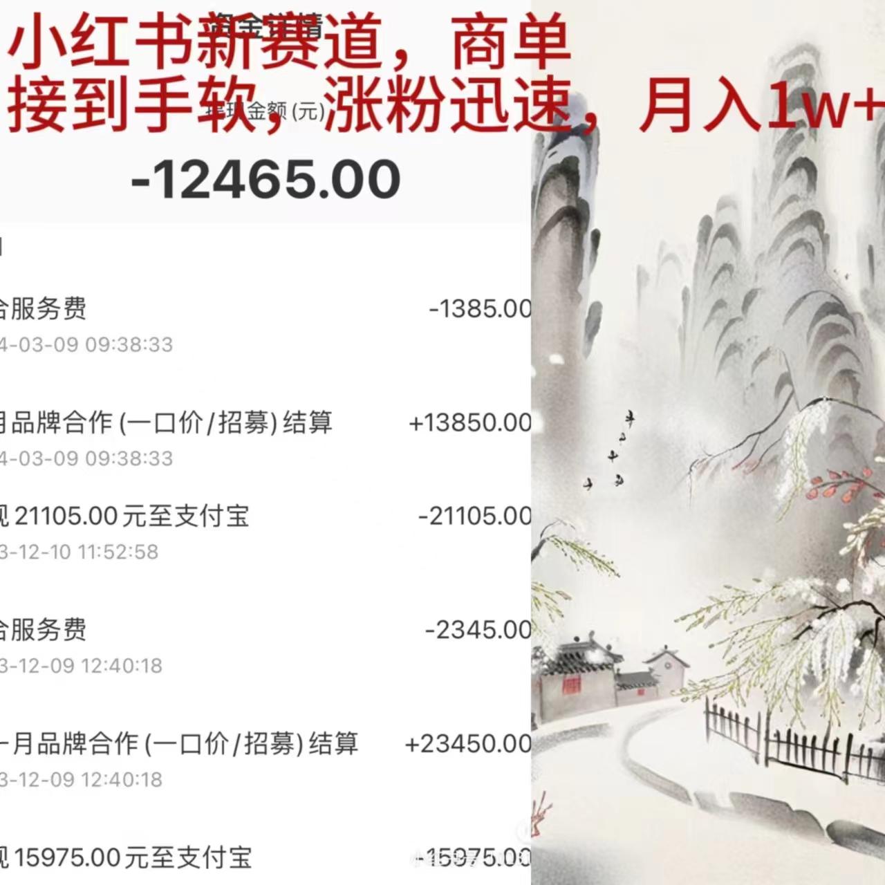 (9476期)小红书新赛道，商单接到手软，涨粉迅速，月入1w+-网创资源