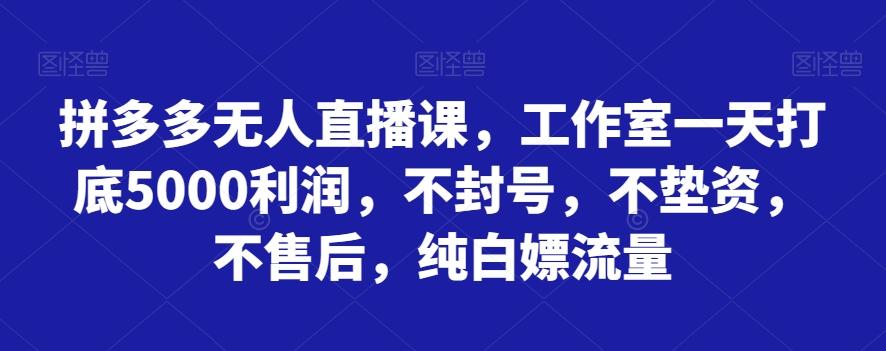 拼多多无人直播课，工作室一天打底5000利润，不封号，不垫资，不售后，纯白嫖流量-网创资源