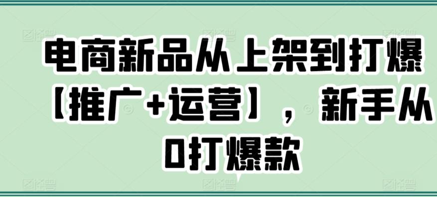 电商新品从上架到打爆【推广+运营】，新手从0打爆款-网创资源