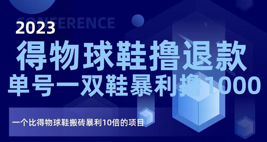 2023得物球鞋撸退款，单号一双鞋暴利撸1000，一个比得物球鞋搬砖暴利10倍的项目【揭秘】-网创资源