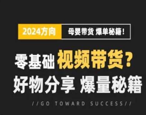 短视频母婴赛道实操流量训练营，零基础视频带货，好物分享，爆量秘籍-网创资源