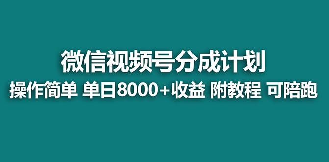 【蓝海项目】视频号分成计划最新玩法，单天收益8000+，附玩法教程，24年…-网创资源