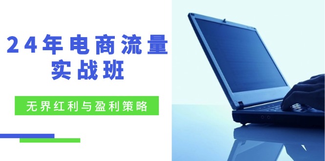 24年电商流量实战班：无界 红利与盈利策略，终极提升/关键词优化/精准…-网创资源
