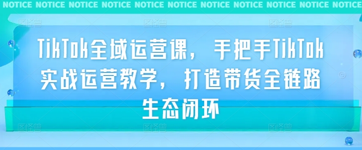 TikTok全域运营课，手把手TikTok实战运营教学，打造带货全链路生态闭环-网创资源